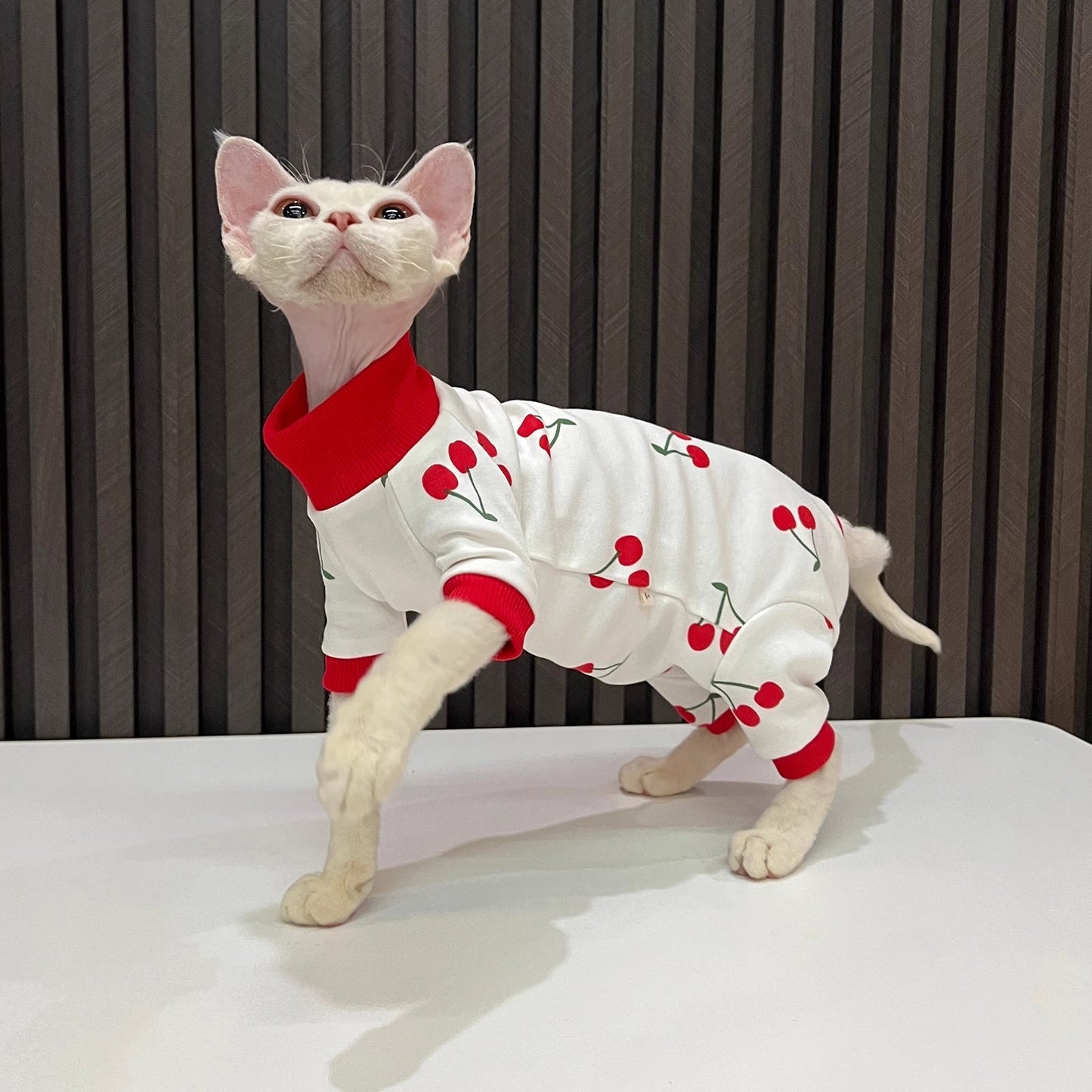 Spring And Autumn Hairless Cat All-inclusive Anti-lint Sleeved Cat Clothes