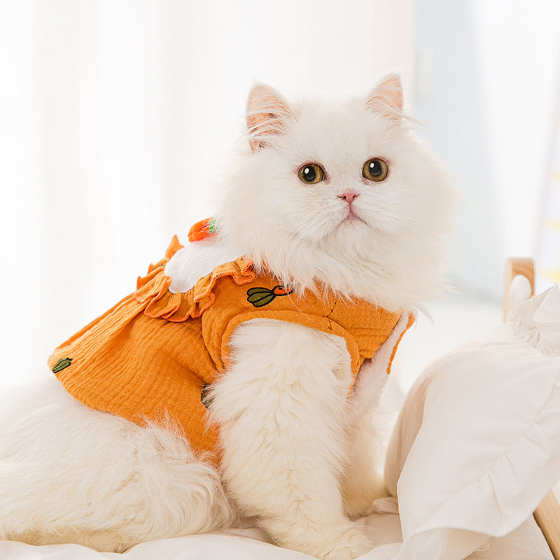Kitten Carrot Vest Clothes Keep Warm In Winter