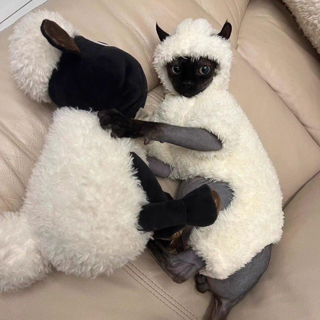 Cat Clothes Four-legged Pet Clothing Fleece-lined Pet Clothes