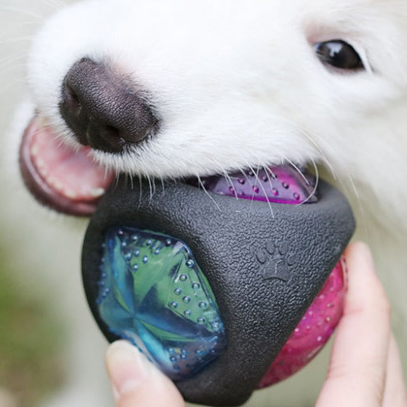 Dog toy ball