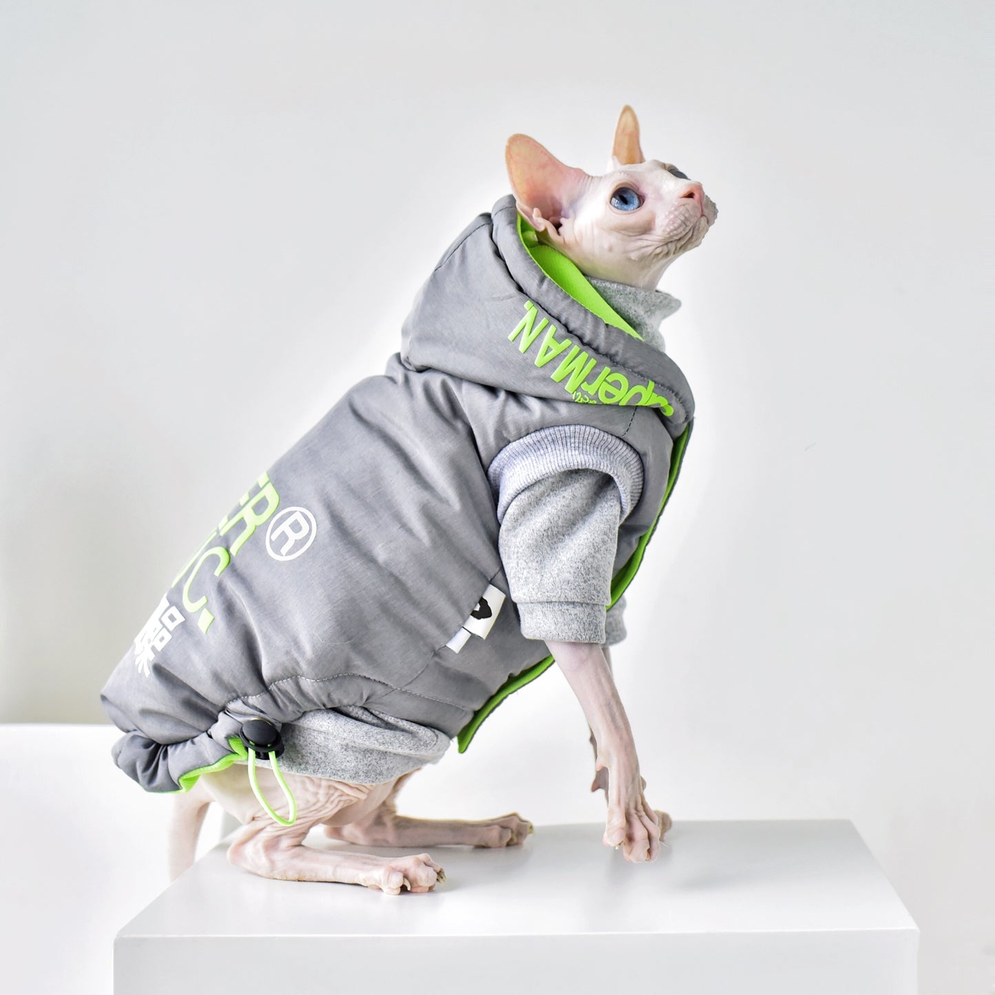 Hairless Cat Clothing With Winter Coat