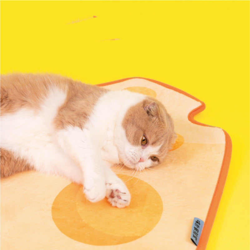 Cat And Dog Sleeping Mat Door Mat Living Room