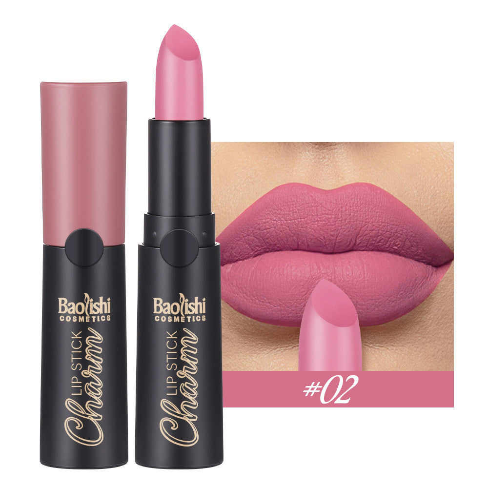 Matte Lipstick Matte Surface Easy To Color Long-lasting Moisturizing