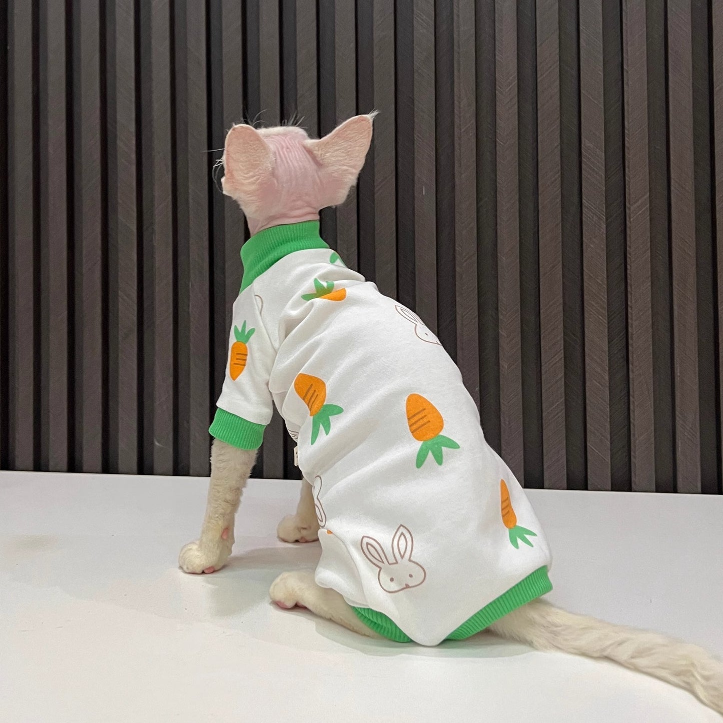 Spring And Autumn Hairless Cat All-inclusive Anti-lint Sleeved Cat Clothes