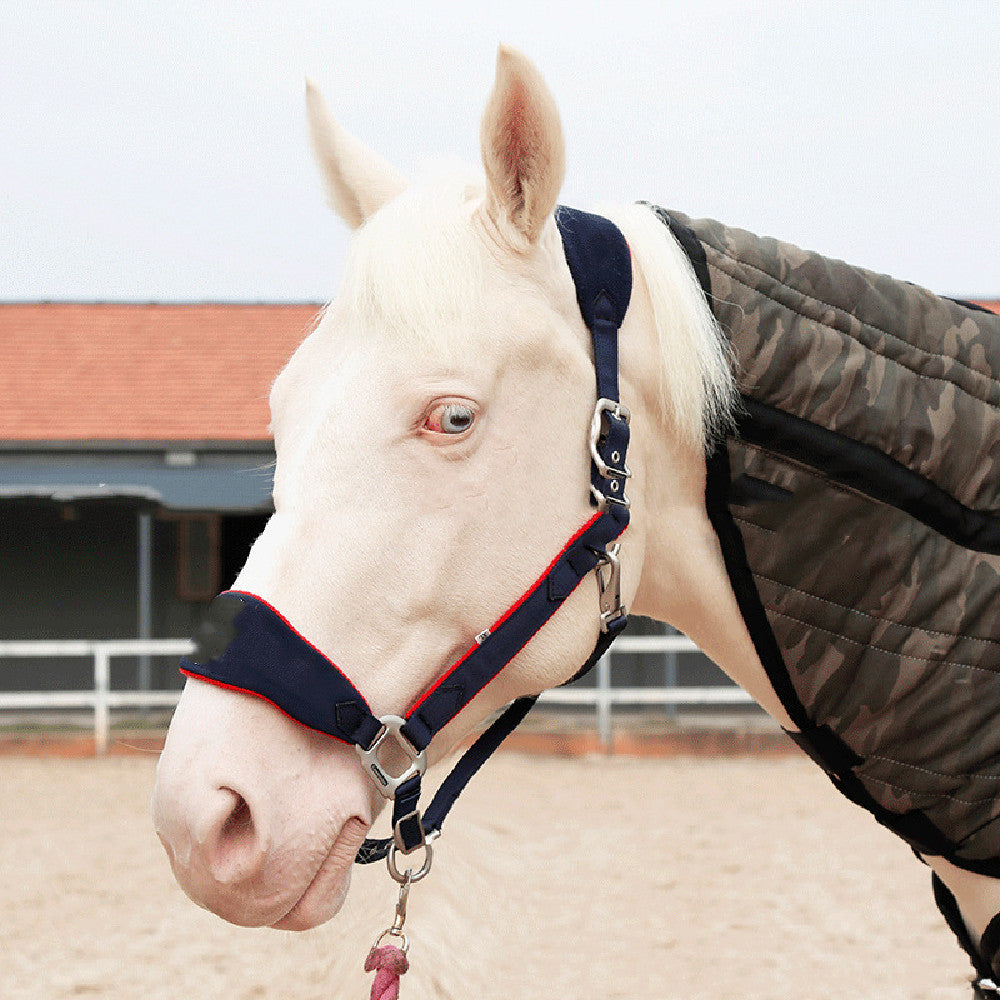 New Fleece Lined Horse Halter