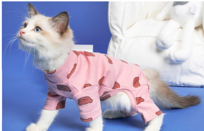 Clothes Ins Puppet Cat British Short Cat Cat Anti-hair Shed Four-legged Clothing Hairless