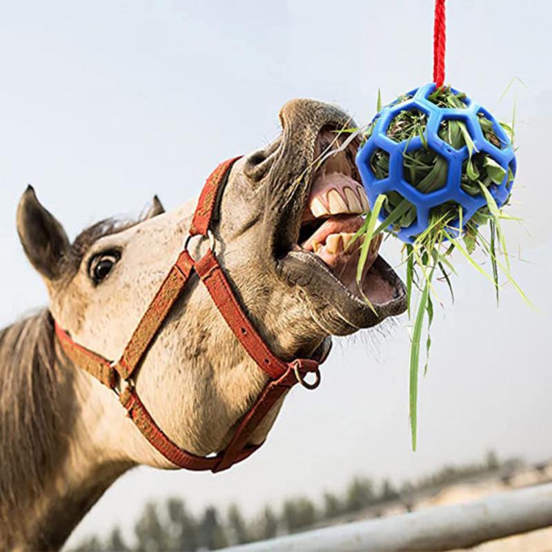 Fashionable Personality Hanging Ball Feeding Horse Toy