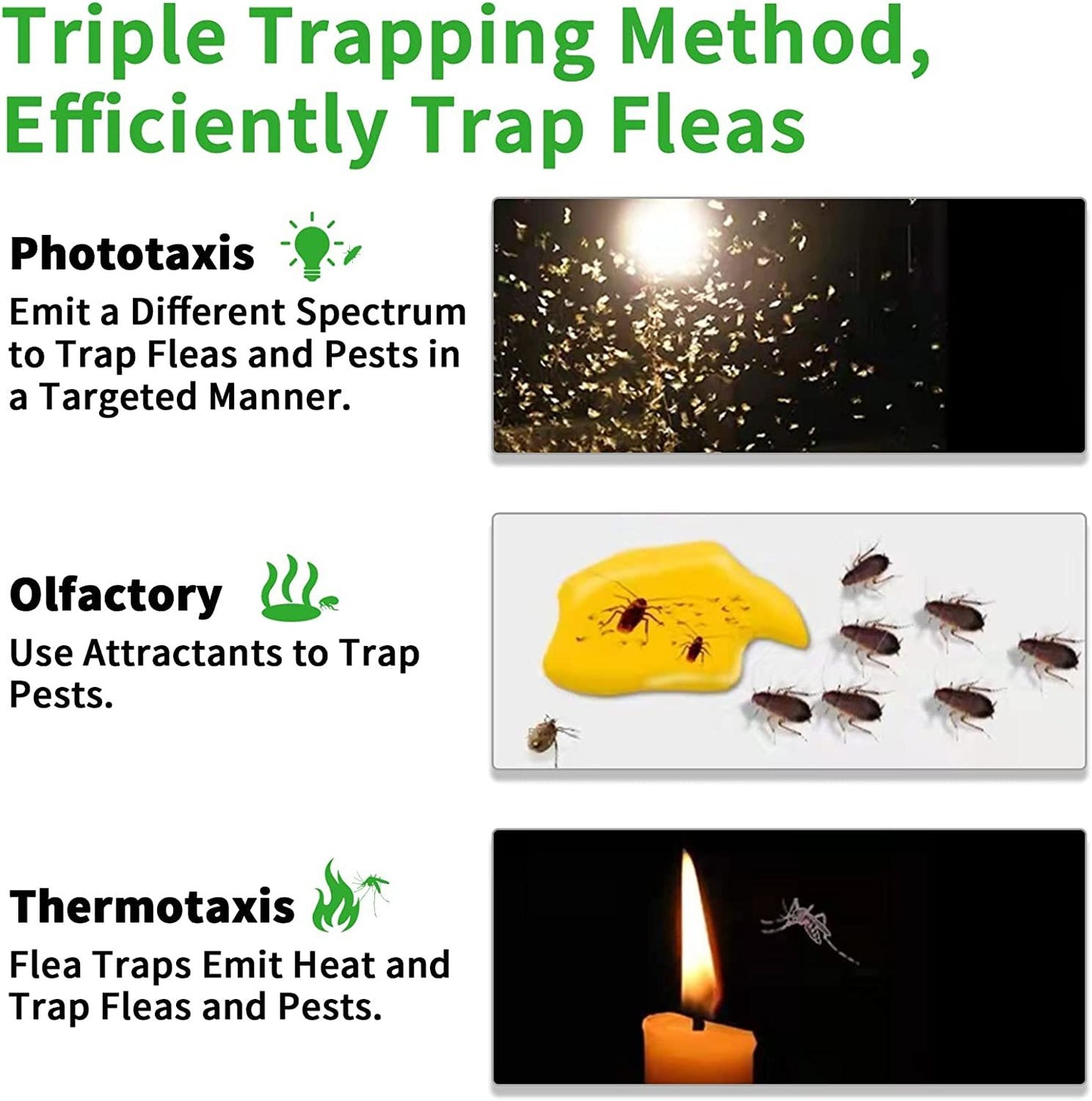 Creative Simple Pet Household Flea Trap