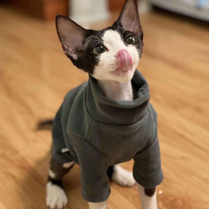 Dralon Self-heating Hairless Cat Clothes Autumn And Winter Base Hoodie