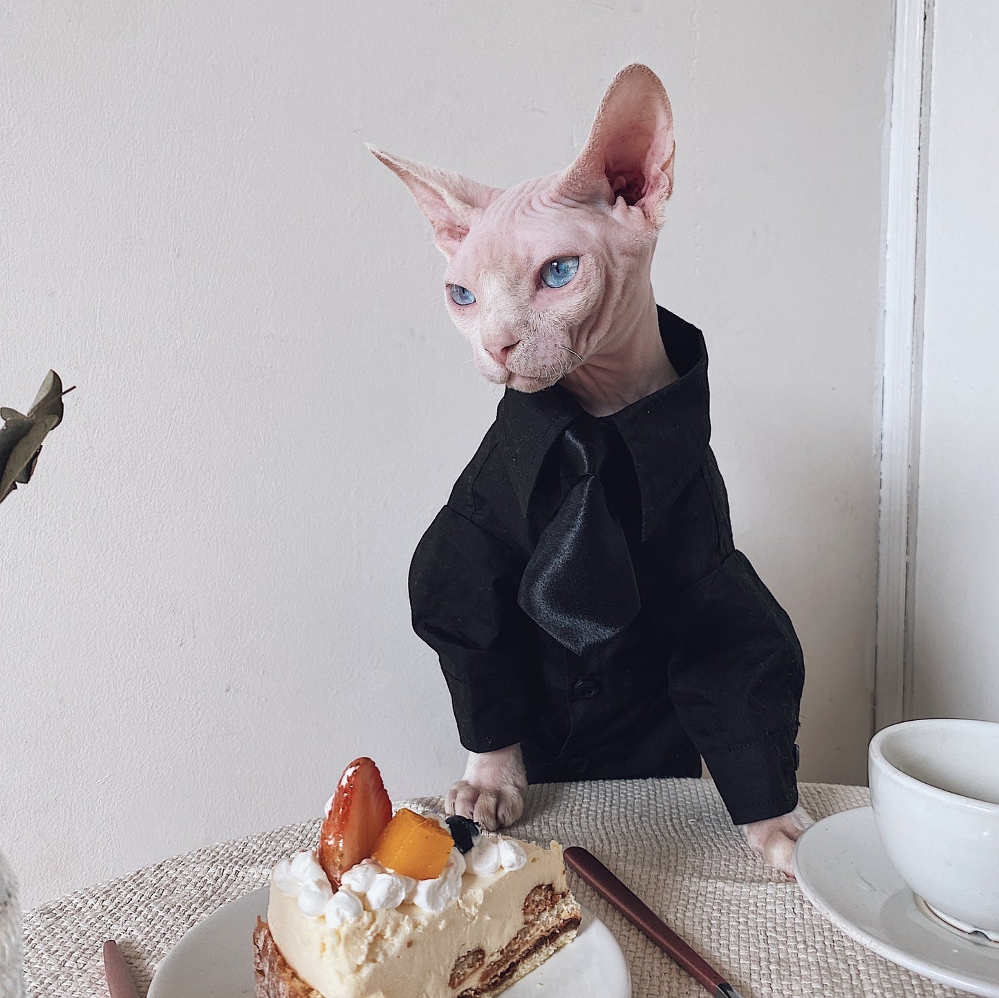 Hairless Cat Clothes Sphinx Cat German Suit Shirt Outfit