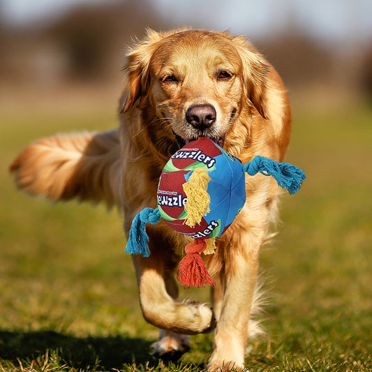 Pet Dog Toy Twisted Sugar Sniffing Ball Dog Toy Molar Puzzle Food Hiding Sniffing Ball Toy