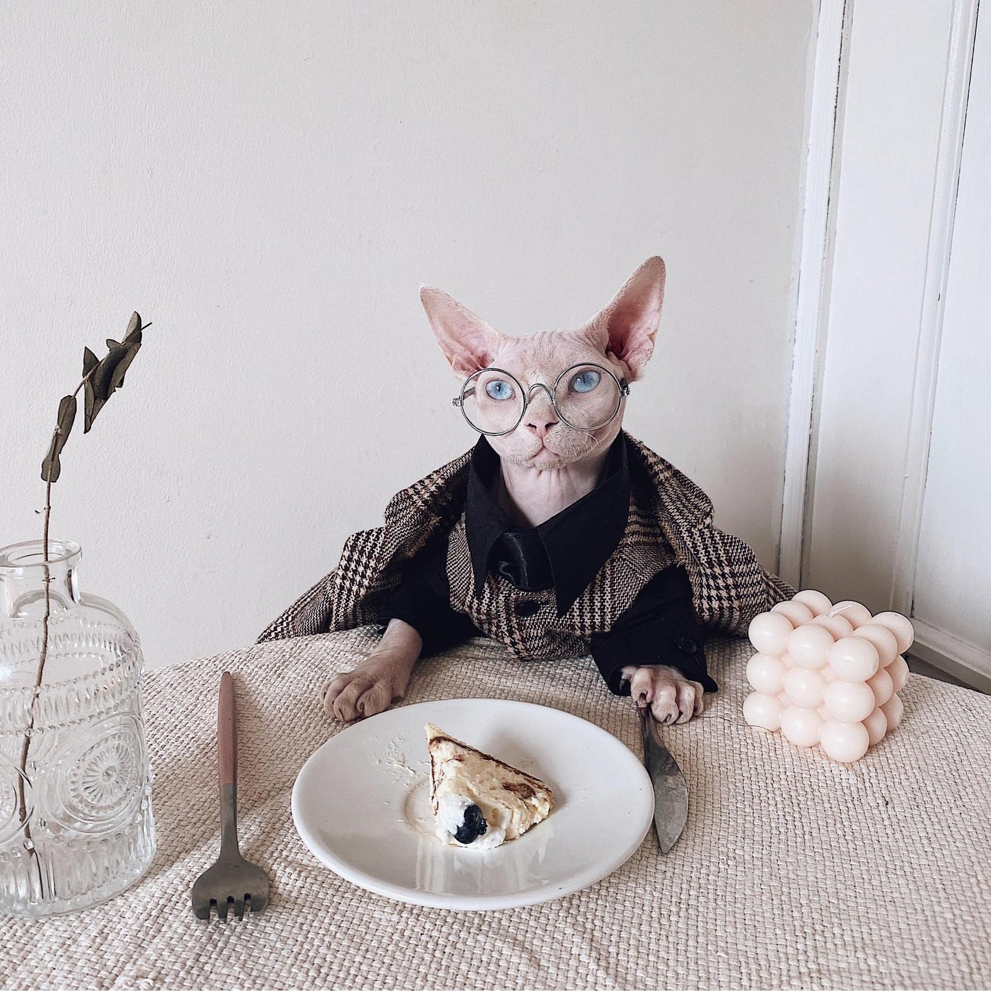 Hairless Cat Clothes Sphinx Cat German Suit Shirt Outfit