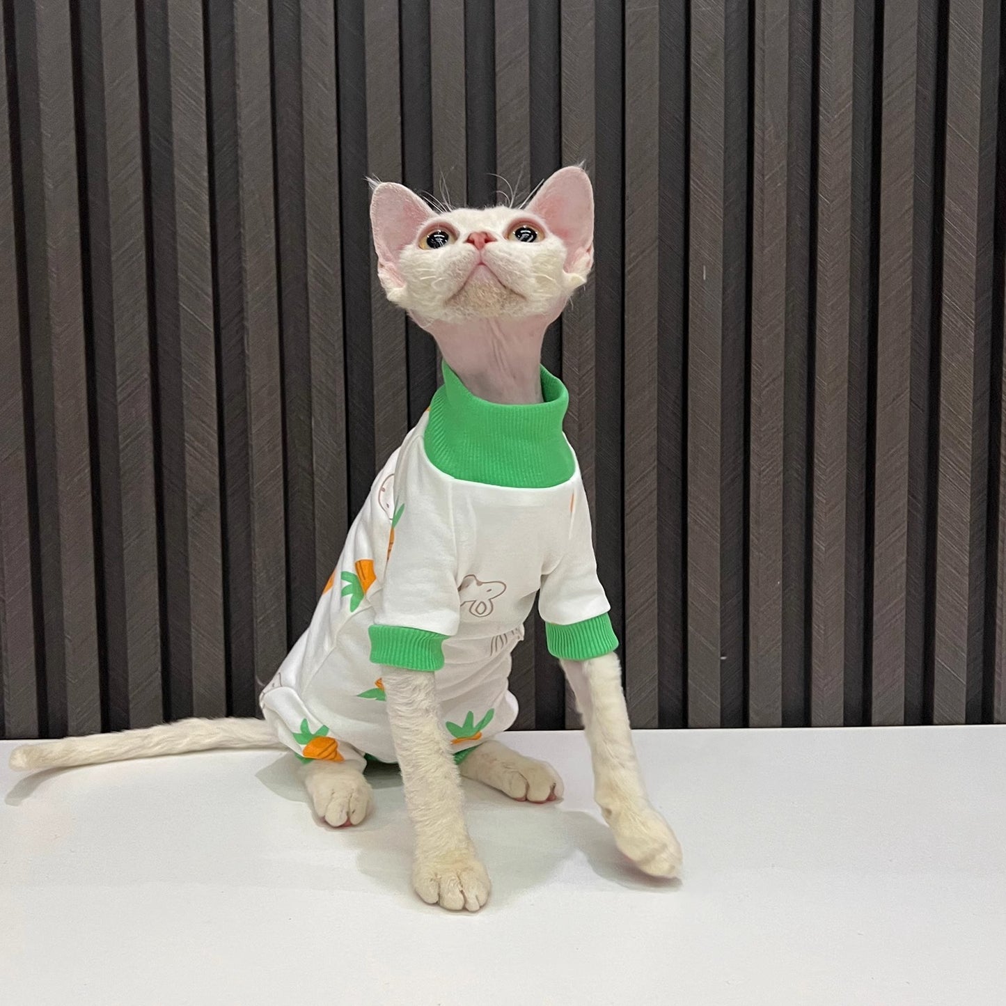 Spring And Autumn Hairless Cat All-inclusive Anti-lint Sleeved Cat Clothes