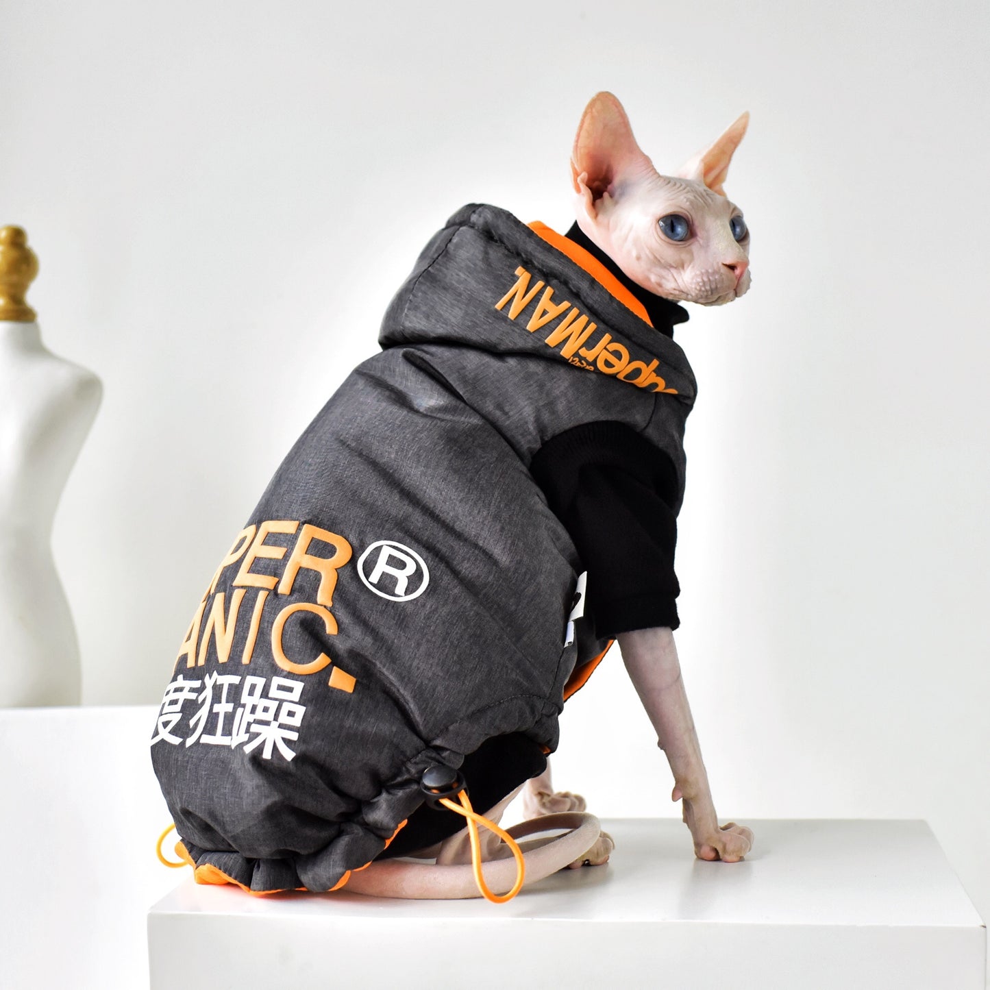 Hairless Cat Clothing With Winter Coat