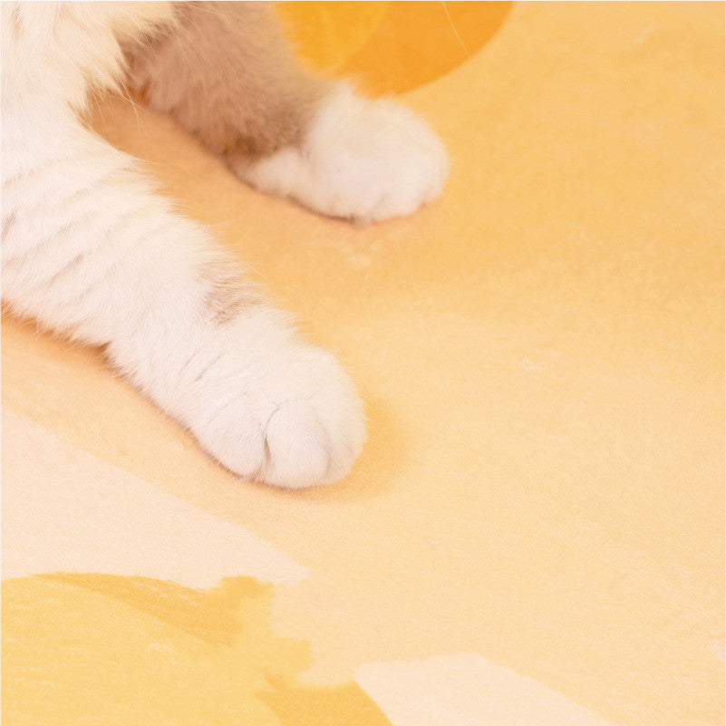 Cat And Dog Sleeping Mat Door Mat Living Room