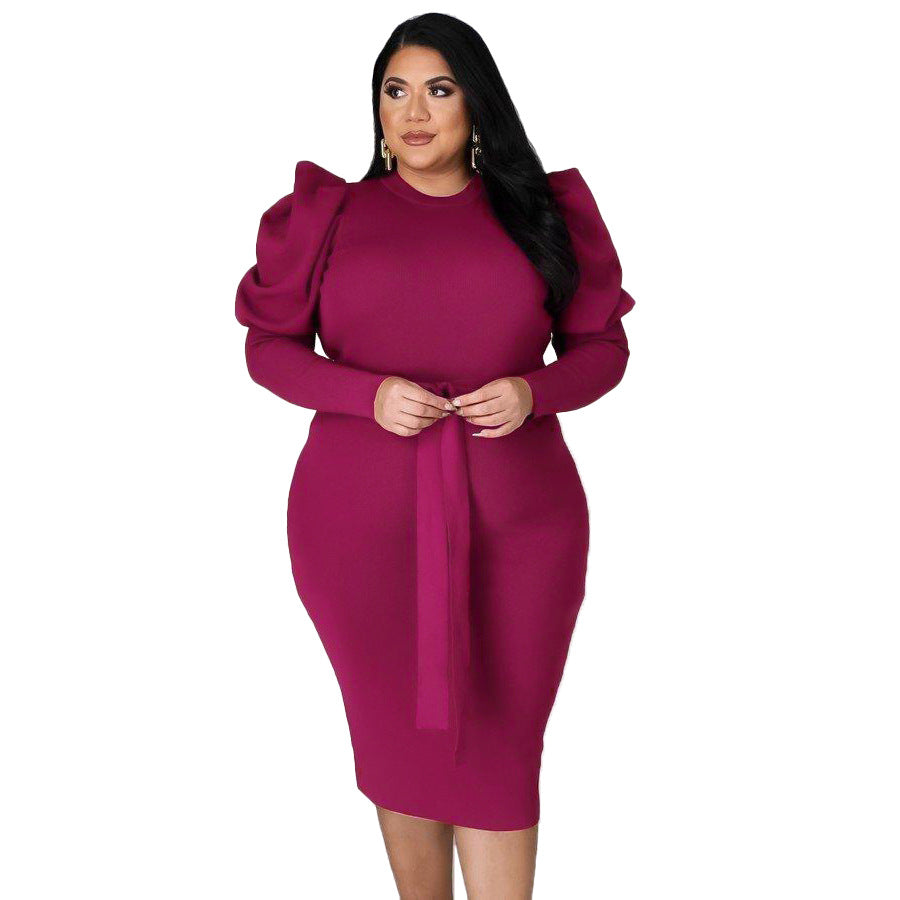 Women's Slim Fit Plus Size Dress