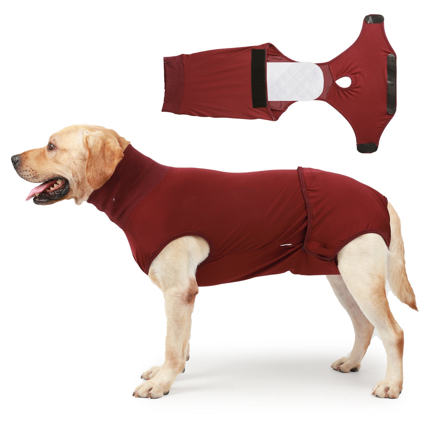 Wearing Pet Dog Clothing After Sterilization